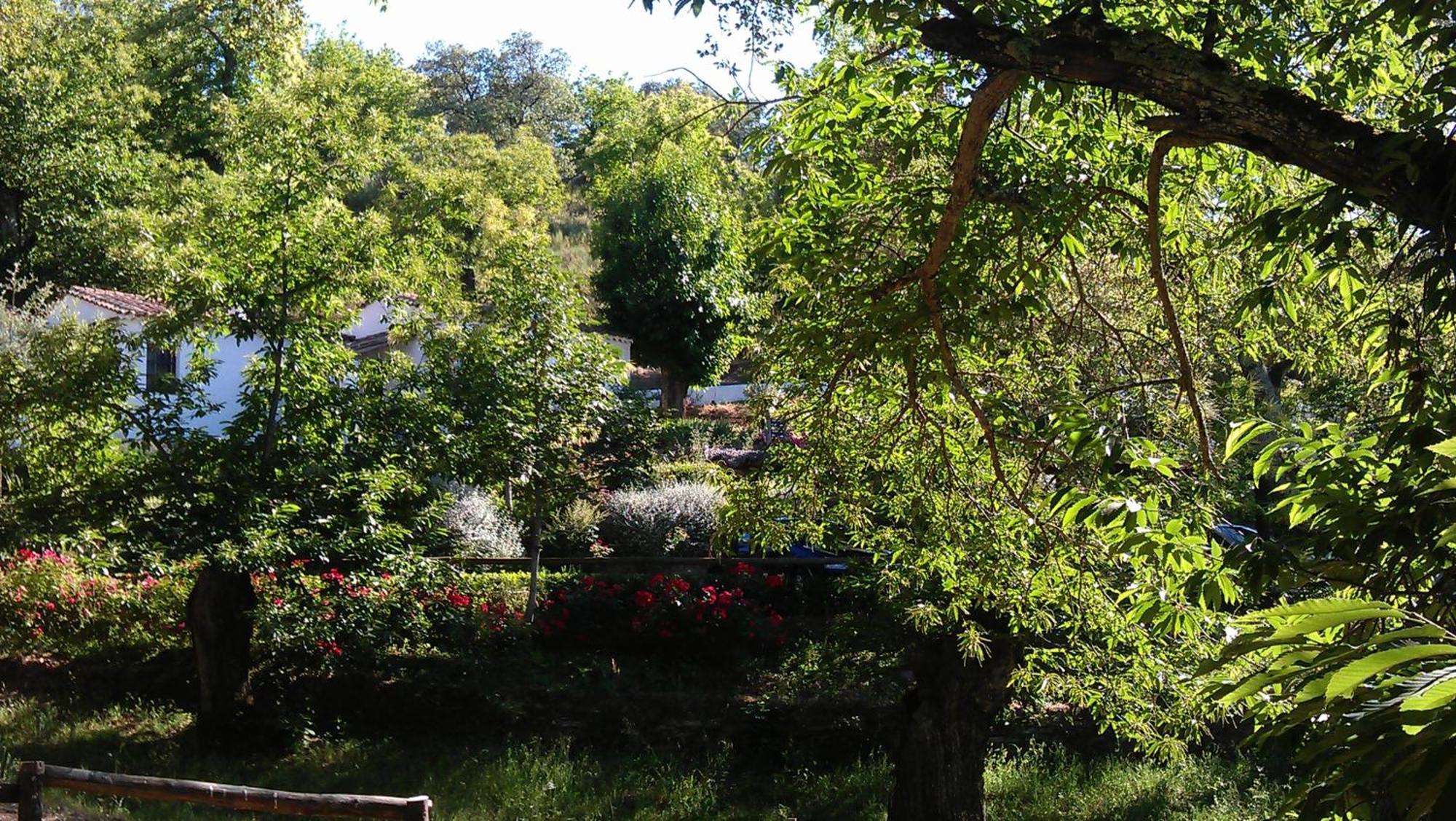 Finca Valbono Apartamentos Rurales Y Hotel Aracena Buitenkant foto