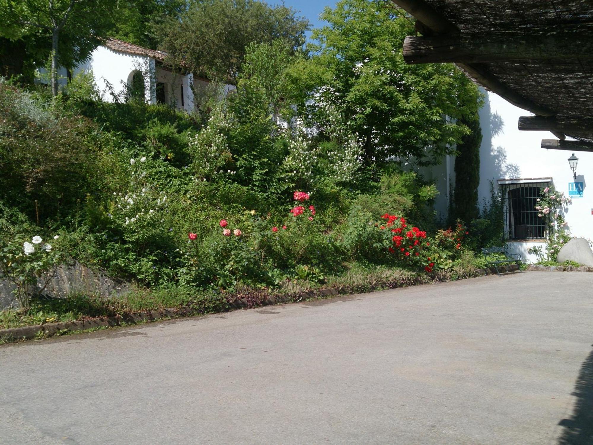 Finca Valbono Apartamentos Rurales Y Hotel Aracena Buitenkant foto